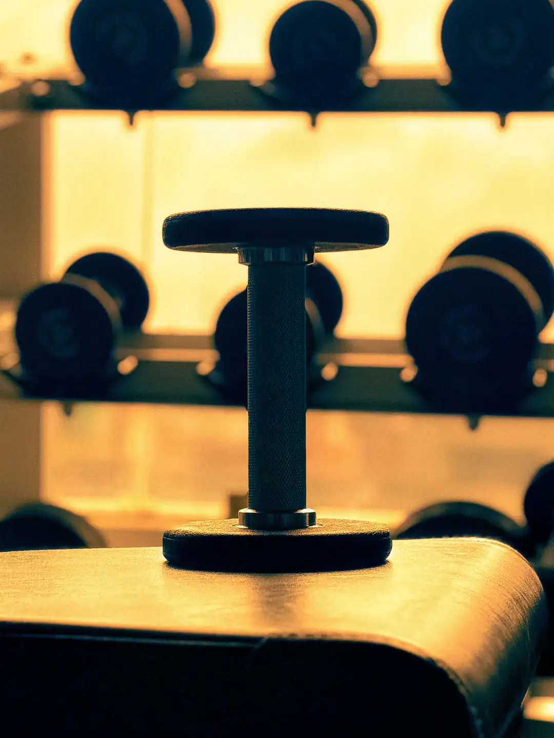 Dumbbell on a gym bench in warm light